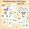 MOTÝL - POZNÁVÁME PŘÍRODU