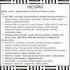 Indiáni: týdenní příprava do MŠ