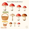 Podzim ve školce - velká sada podzimních aktivit a zábavného učení – ukázka 7