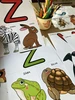ZVÍŘÁTKOVÁ ABECEDA - barevně – ukázka 5