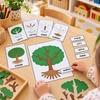  MONTESSORI STROM – třísložkové karty, přiřazování a puzzle  – ukázka 4
