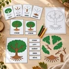  MONTESSORI STROM – třísložkové karty, přiřazování a puzzle  – ukázka 7