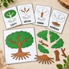  MONTESSORI STROM – třísložkové karty, přiřazování a puzzle  – ukázka 6