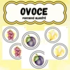 POHYBOVÉ BLUDIŠTĚ - OVOCE