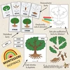  MONTESSORI STROM – třísložkové karty, přiřazování a puzzle  – ukázka 2