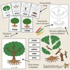  MONTESSORI STROM – třísložkové karty, přiřazování a puzzle  – ukázka 3