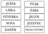Zvířata v lese - slova a písmena
