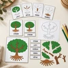  MONTESSORI STROM – třísložkové karty, přiřazování a puzzle  – ukázka 9
