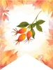 GIRLANDA PODZIM